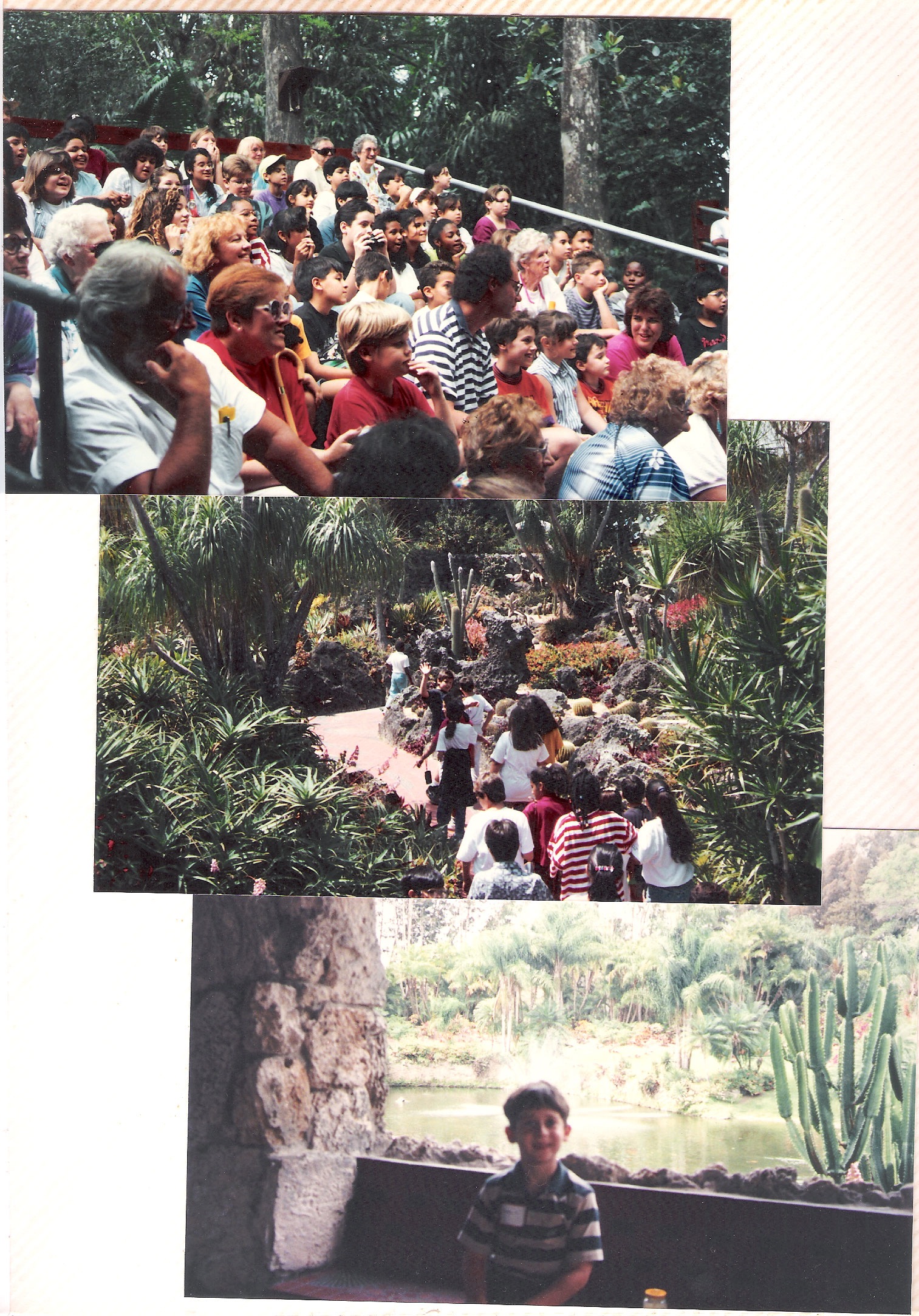 Loading Image