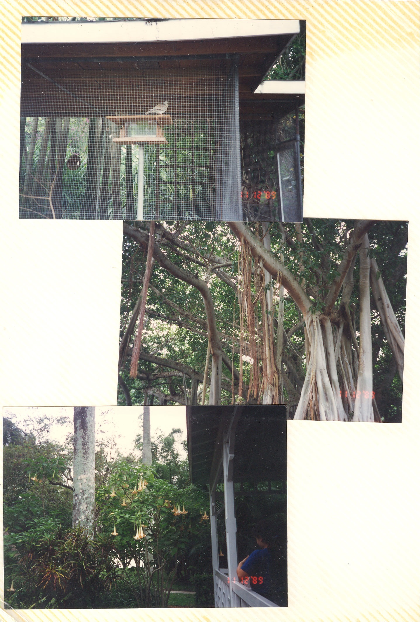 Loading Image